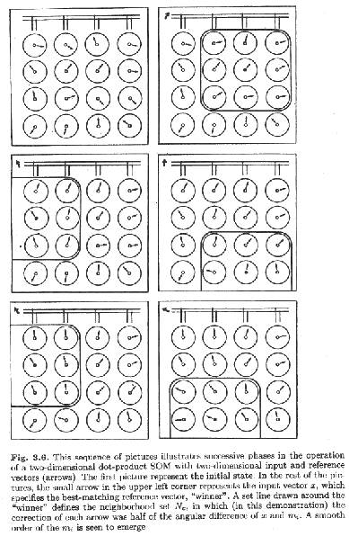 \resizebox{0.7\textwidth}{!}{%%
\includegraphics{som-explain.eps}}